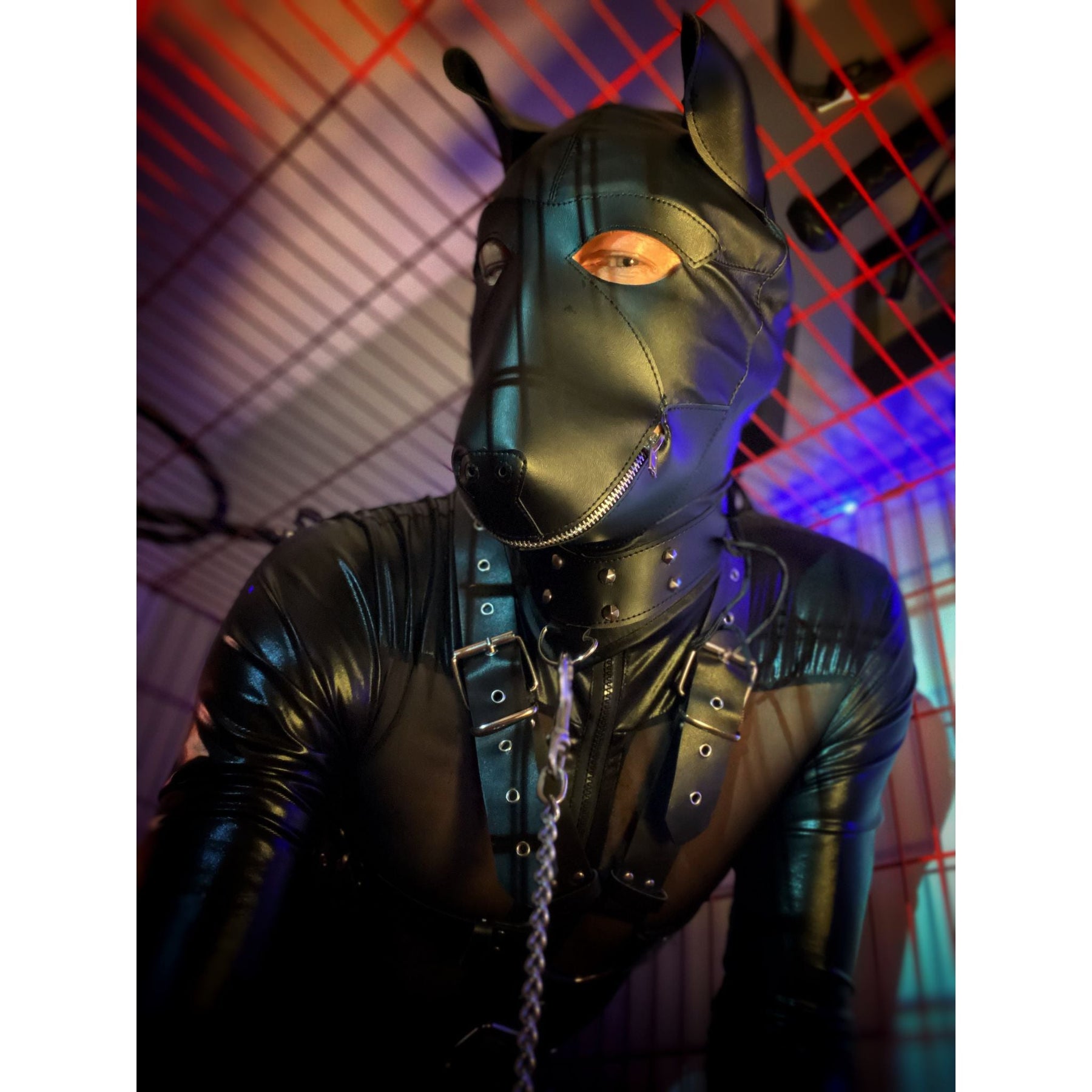 Faux Leather Dog Mask